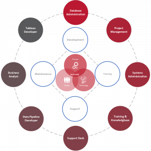 BIaaS provides multiple capabilities for a predictable and low cost