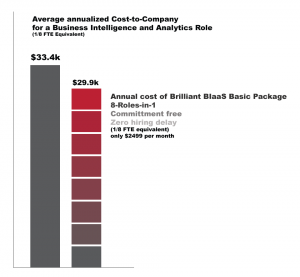 BIaaS - Business Intelligence as a Service is cheaper than rolling your own in-house.